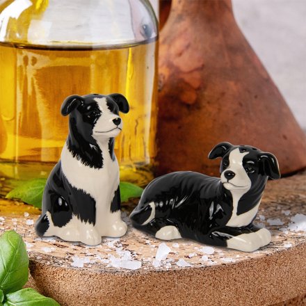 Collie Salt & Pepper Set