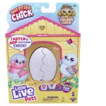 Little Live Pets Surprise Chick Series 4 - Blue