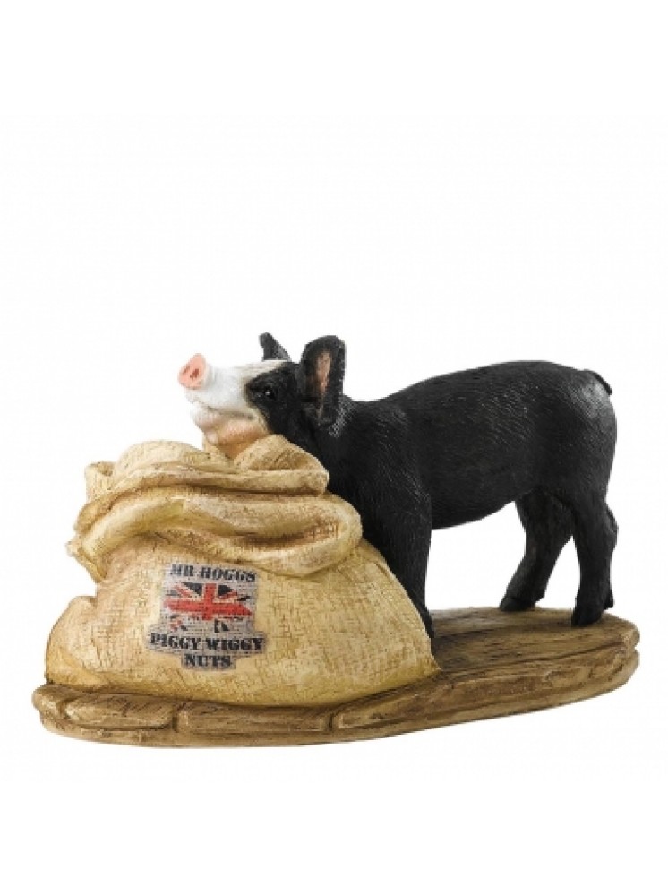 Kitchy & Co Mr Hogs Piggy Wiggy Nuts A28339