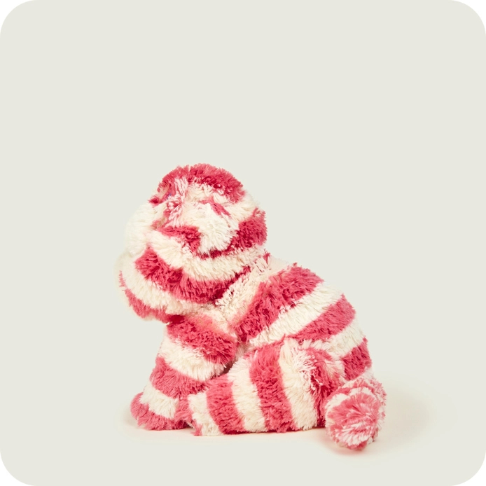 Warmies  Bagpuss Cat