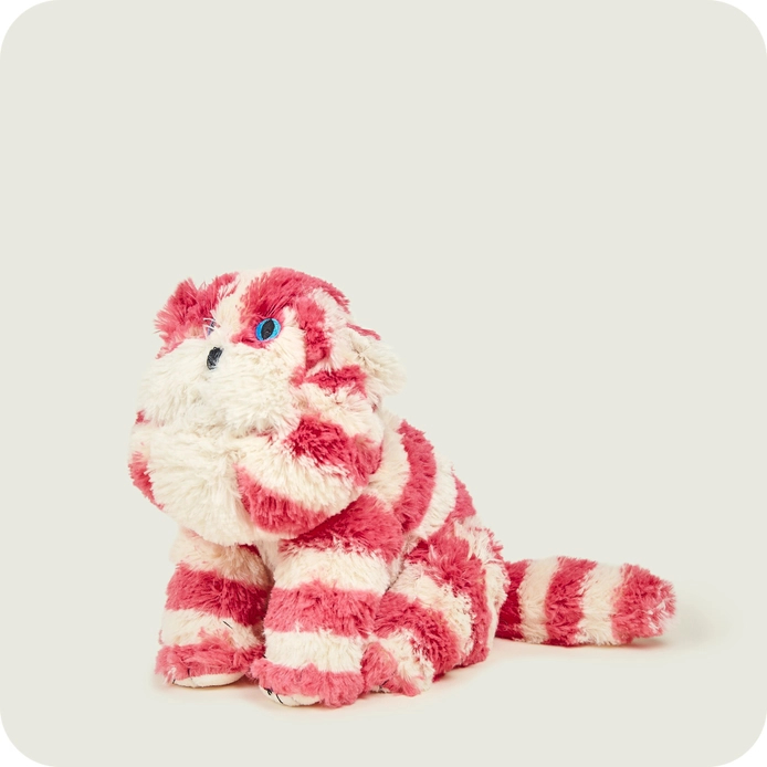 Warmies  Bagpuss Cat