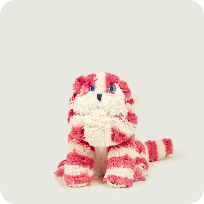 Warmies  Bagpuss Cat