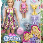 Barbie Birthday Surprise Barbie and Chelsea Story Set