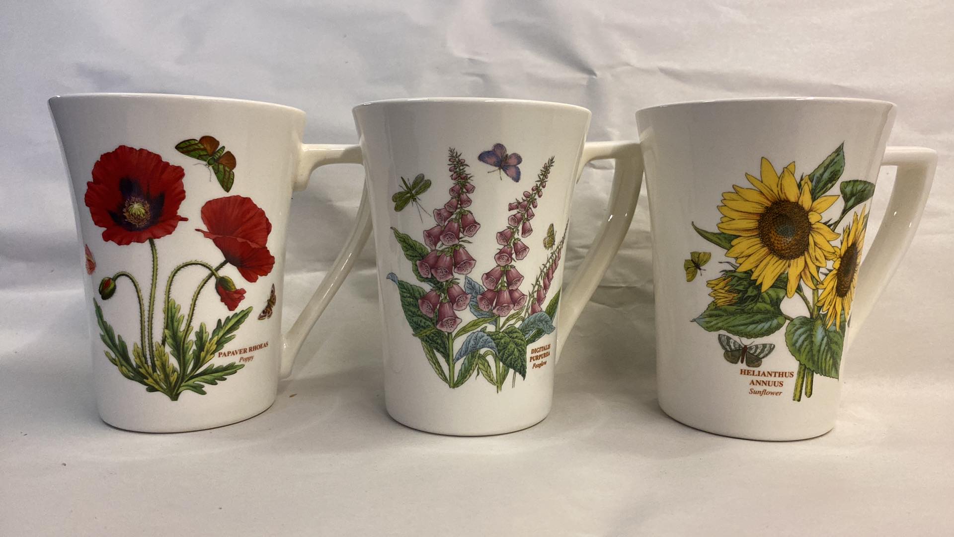 Portmeirion Botanic Garden Set of 6 Mugs