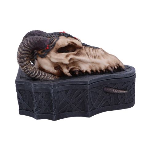 Dragon Skull Box (Monte Moore) 17.7cm