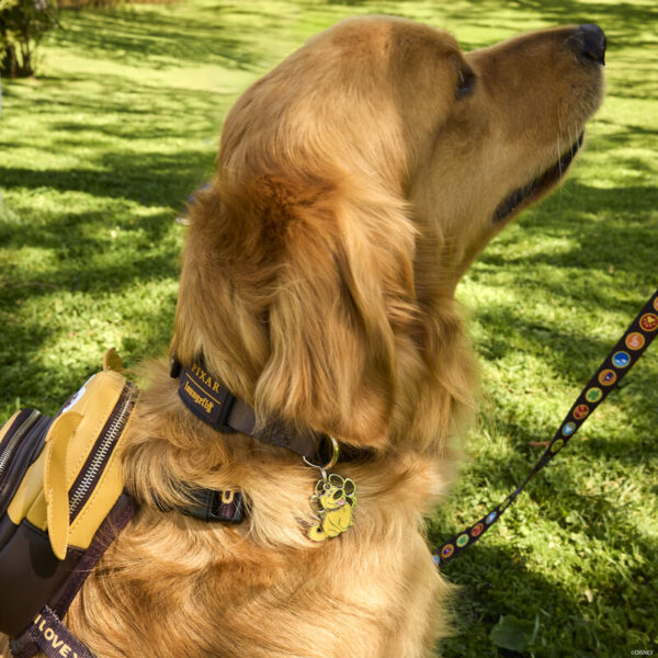 Dug Up 15th Anniversary Pixar Loungefly Dog Collar