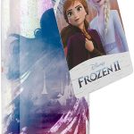 Funko  Disney Frozen 2 Water Bottle