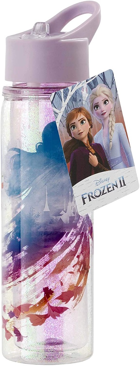 Funko  Disney Frozen 2 Water Bottle